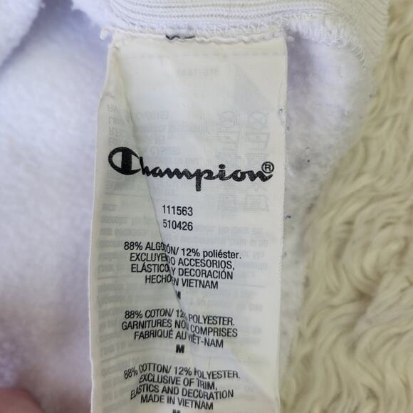 Champion Oversized Cropped Raw Edge Reverse Weave women's Crewneck medium - Picture 5 of 9